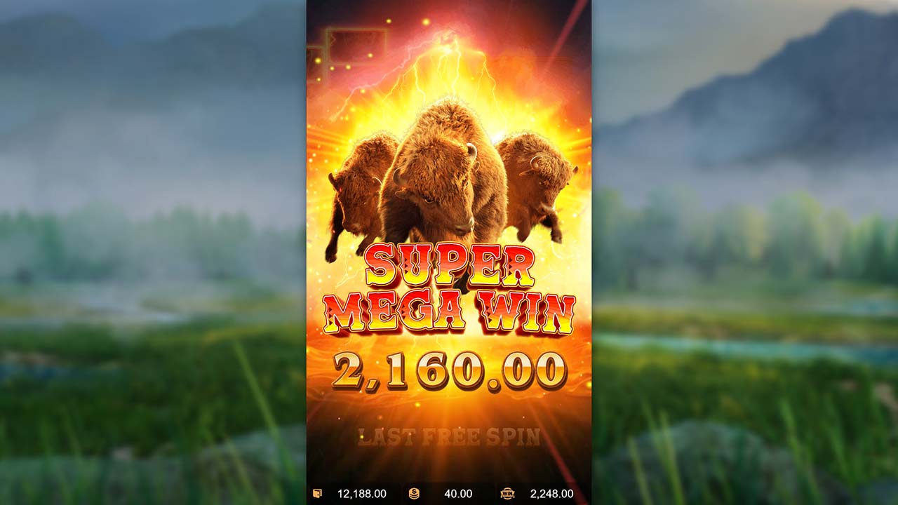 Buffalo win ทดลองเล่น